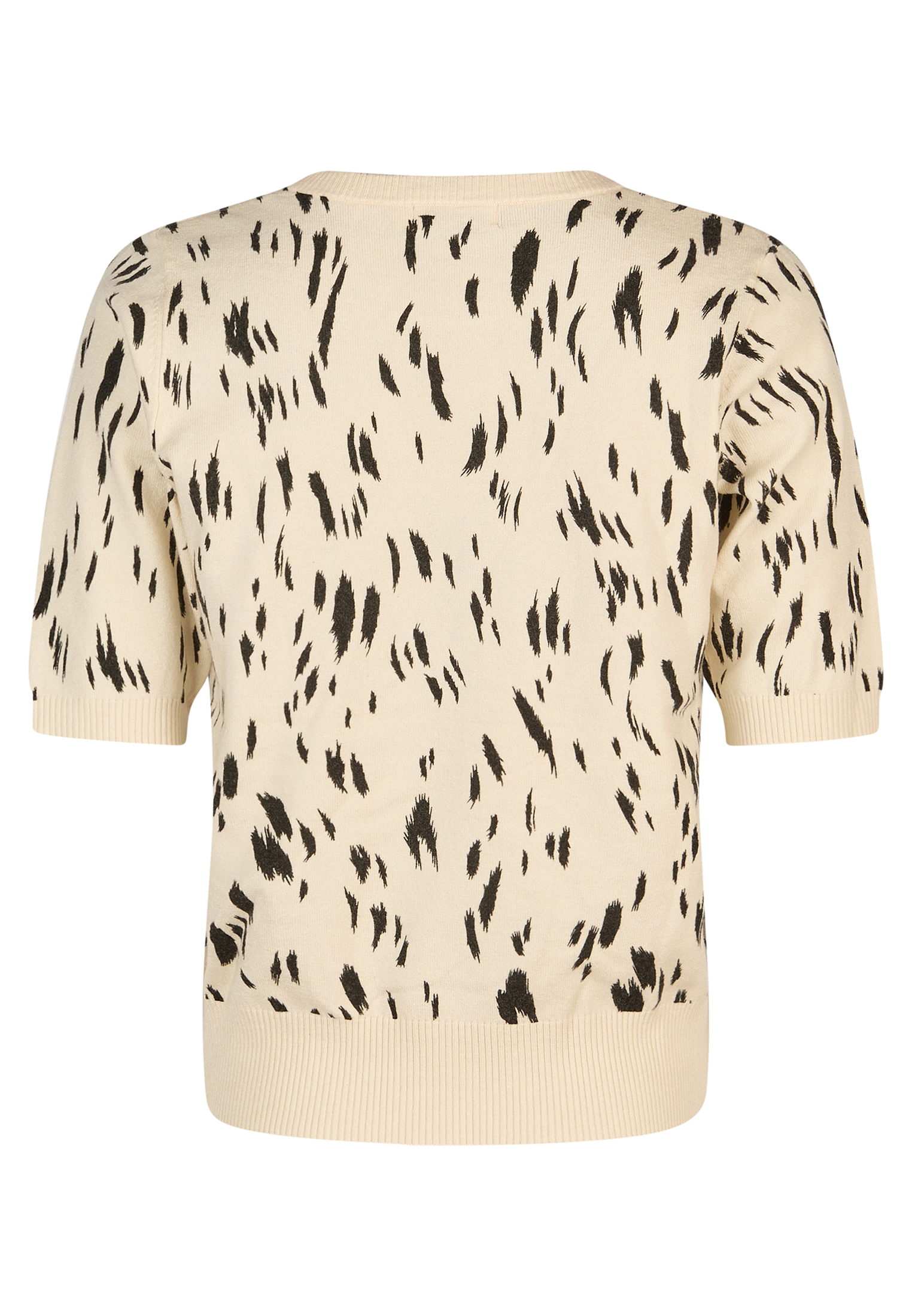 55004050_120-071202_03_BC